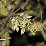 おいおい、せっかくさぁ...とか