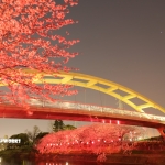 ちょっと良いことあり〼た