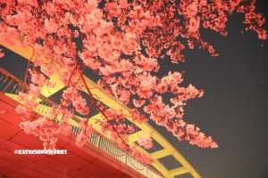 なんか久しぶりの雨