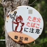 愛知県民の森 旅行記 初日編 宇連川支流 其の壱