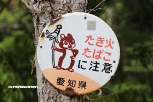 愛知県民の森 旅行記 初日編 宇連川支流 其の壱