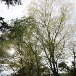 愛知県民の森 旅行記 初日編 宇連川支流 最終回