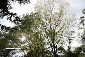 愛知県民の森 旅行記 初日編 宇連川支流 最終回