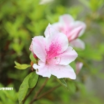 愛知県民の森 旅行記 初日編 モリトピア愛知 其の弐