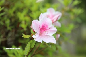 愛知県民の森 旅行記 初日編 モリトピア愛知 其の弐