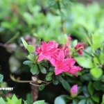 愛知県民の森 旅行記 初日編 モリトピア愛知 其の参