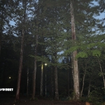 愛知県民の森 旅行記 初日編 キャンプ場 其の弐