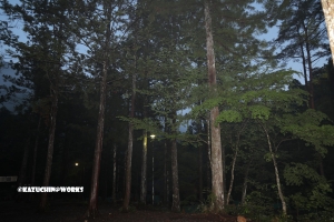 愛知県民の森 旅行記 初日編 キャンプ場 其の弐