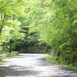 愛知県民の森 旅行記 2日目編 ～不動滝