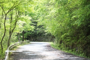 愛知県民の森 旅行記 2日目編 ～不動滝
