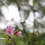 今日もお休みです