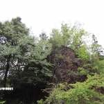 愛知県民の森 旅行記 2日目編 ～風穴橋