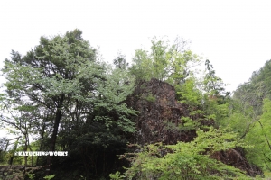 愛知県民の森 旅行記 2日目編 ～風穴橋