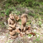 愛知県民の森 旅行記 2日目編 ～かえで展示林