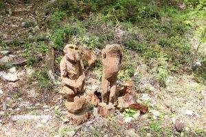 愛知県民の森 旅行記 2日目編 ～かえで展示林