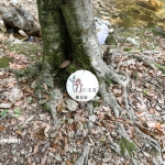 愛知県民の森 旅行記 2日目編 ～バードサンクチュアリー