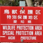 愛知県民の森 旅行記 2日目編 バードサンクチュアリー周辺
