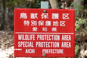 愛知県民の森 旅行記 2日目編 バードサンクチュアリー周辺