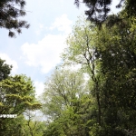 愛知県民の森 旅行記 2日目編 ～下石の滝 其の壱