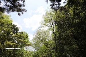 愛知県民の森 旅行記 2日目編 ～下石の滝 其の壱