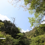 愛知県民の森 旅行記 2日目編 ～下石の滝 其の弐