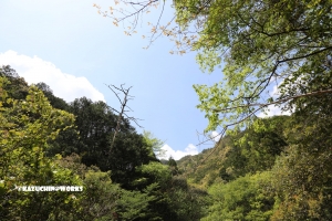 愛知県民の森 旅行記 2日目編 ～下石の滝 其の弐