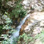 愛知県民の森 旅行記 2日目編 ~下石の滝 其の参