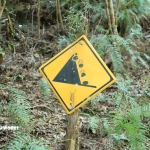 愛知県民の森 旅行記 2日目編 ～下石の滝 其の四