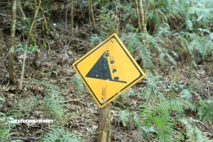 愛知県民の森 旅行記 2日目編 ～下石の滝 其の四