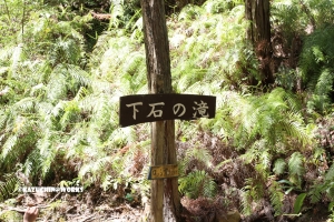 愛知県民の森 旅行記 2日目編  下石の滝