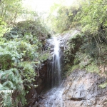 愛知県民の森 旅行記 2日目編 下石の滝 おまけ