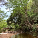 愛知県民の森 旅行記 プレ2