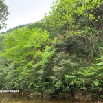 愛知県民の森 旅行記 プレ