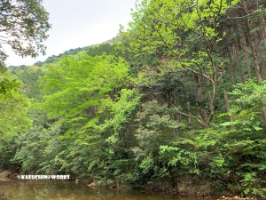愛知県民の森 旅行記 プレ