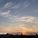 ちょこっと毒を吐く