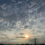 おひさしぶりな