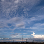 免許の更新期限がやばい