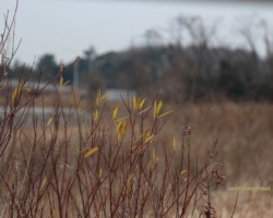 テスト撮影 富浜 その1 テスト撮影 富浜 その1
