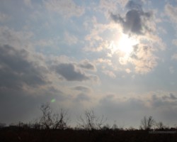 テスト撮影 富浜 その2 テスト撮影 富浜 その2