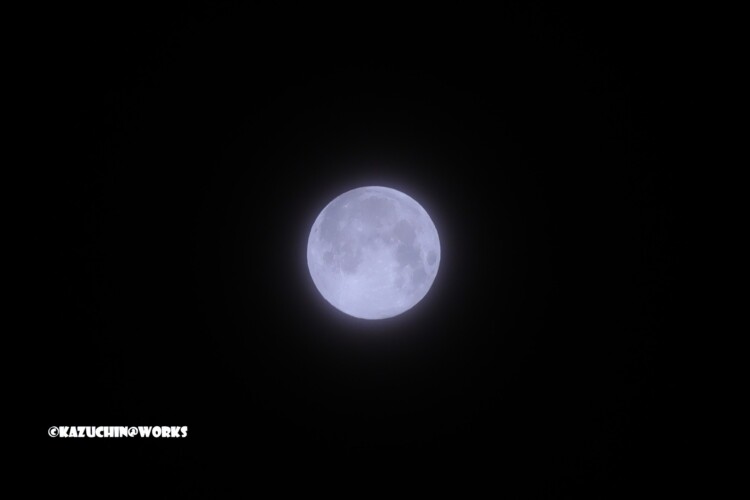 2019/02/20 SM 1/320 F8 ISO400 WB蛍光灯 トリミング 2019/02/20 SM 1/320 F8 ISO400 WB蛍光灯 トリミング