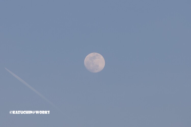 2019/02/18 夕月 トリミング 01 2019/02/18 夕月 トリミング 01