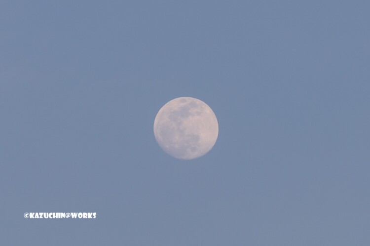 2019/02/18 夕月 トリミング 02 2019/02/18 夕月 トリミング 02