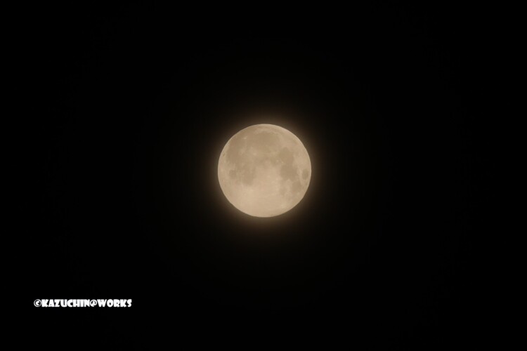 2019/02/20 SM 1/320 F8 ISO400 WB日陰 トリミング 2019/02/20 SM 1/320 F8 ISO400 WB日陰 トリミング