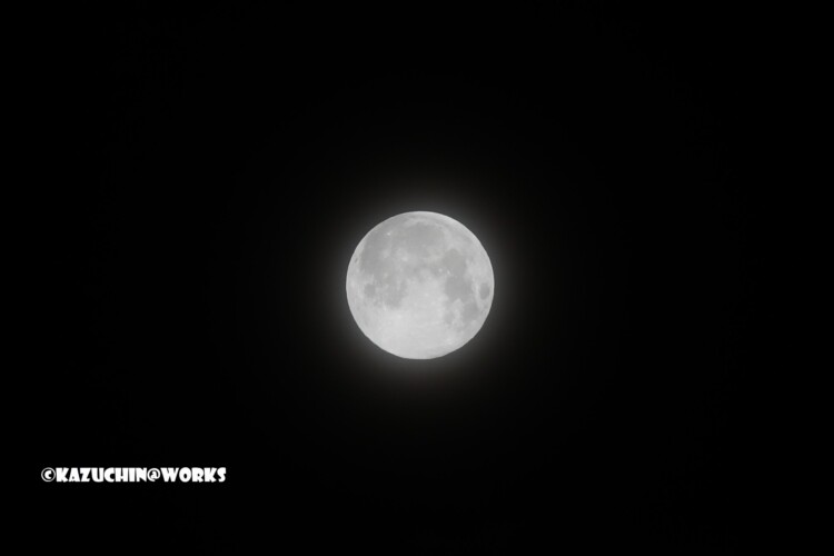 2019/02/20 SM 1/320 F8 ISO400 WBオート トリミング 2019/02/20 SM 1/320 F8 ISO400 WBオート トリミング