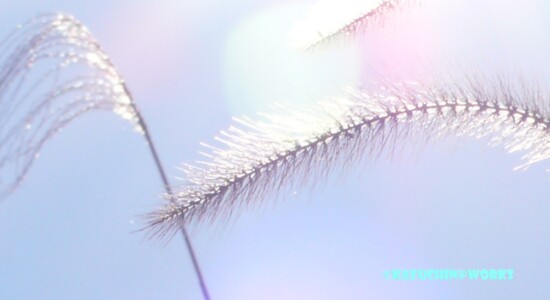 2007/02/23 隠した過去写真 2007/02/23 隠した過去写真