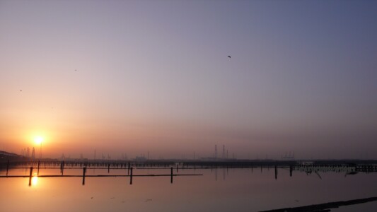 2007/03/26 弥富からの朝 その4 2007/03/26 弥富からの朝 その4