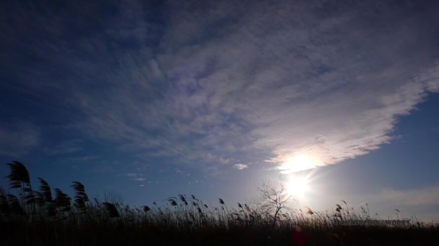 2007/03/30 弥富 2007/03/30 弥富