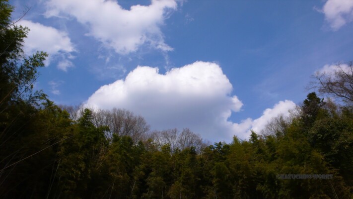 ここはどこ? ここはどこ?