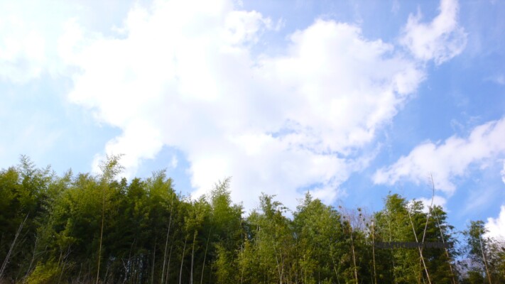 ここはどこ? ここはどこ?