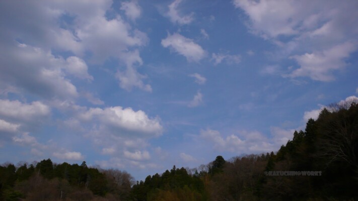 ここはどこ? ここはどこ?